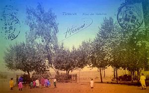 Tlemcen 068- Collection Montaner